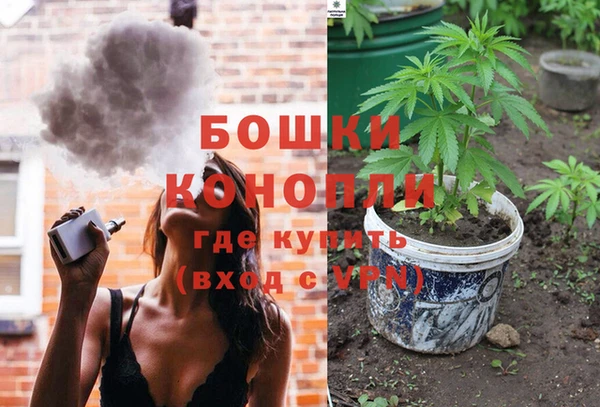 Альфа ПВП Аркадак